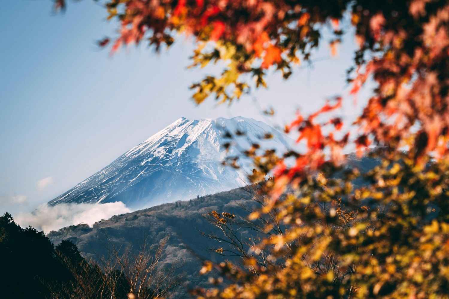 Japan Tour Packages